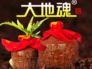 成(chéng)都(dōu)大地魂酒業有限公司
